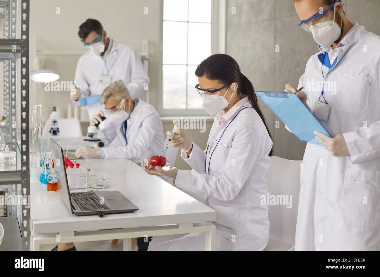 Food scienziato iniettare pomodoro lavorando con i ricercatori gruppo collega in laboratorio Foto Stock