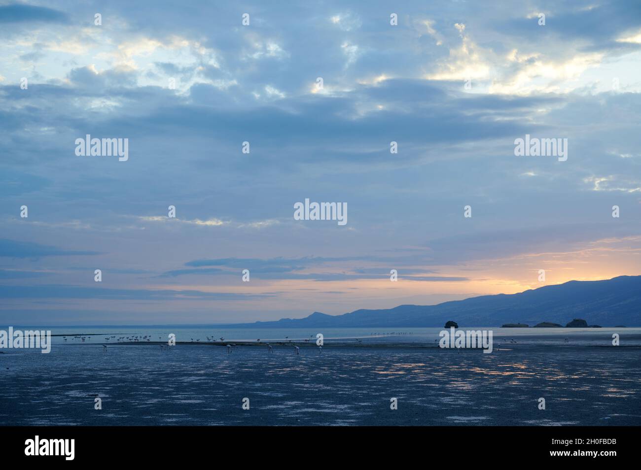 Alba sul lago Natron con fenicotteri , Lago Natron, Ngorongoro Conservation Area, Tanzania, Africa Foto Stock