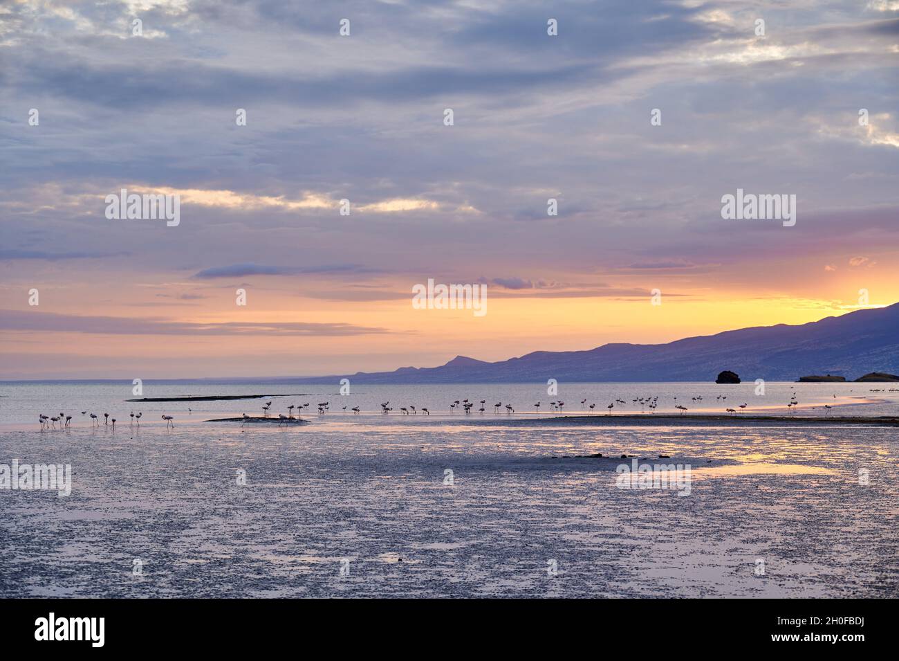 Alba sul lago Natron con fenicotteri , Lago Natron, Ngorongoro Conservation Area, Tanzania, Africa Foto Stock