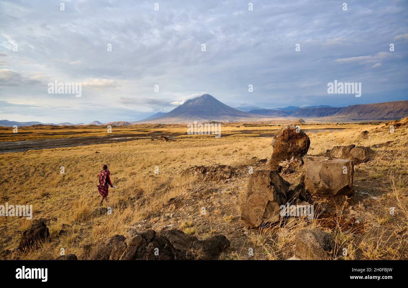 Vulcano OL Doinyo Lengai, lago Natron, Ngorongoro Conservation Area, Tanzania, Africa Foto Stock