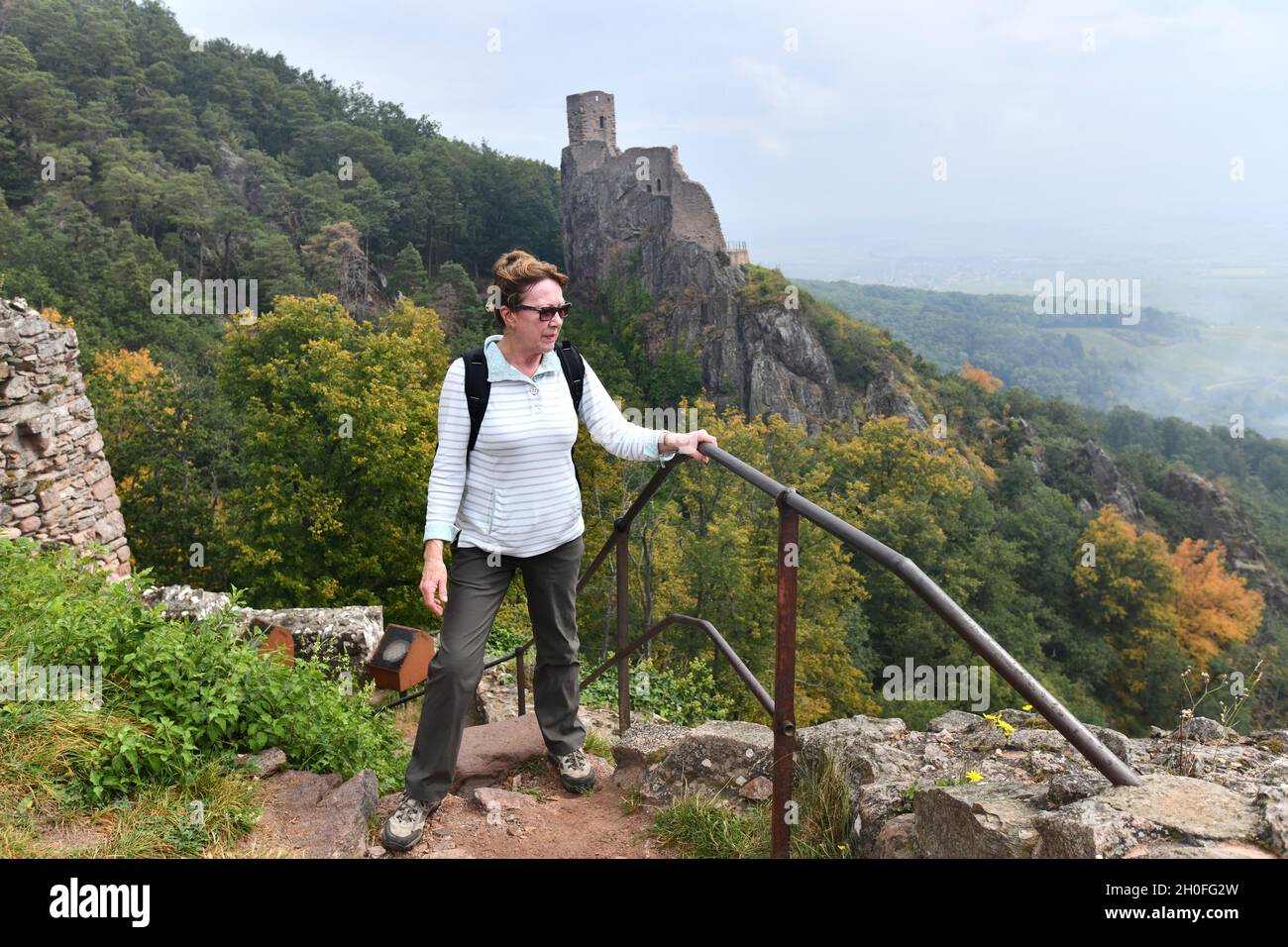 La passeggiata per i tre Castelli di Ribeauvillé nella regione Alsazia di Francia Foto Stock