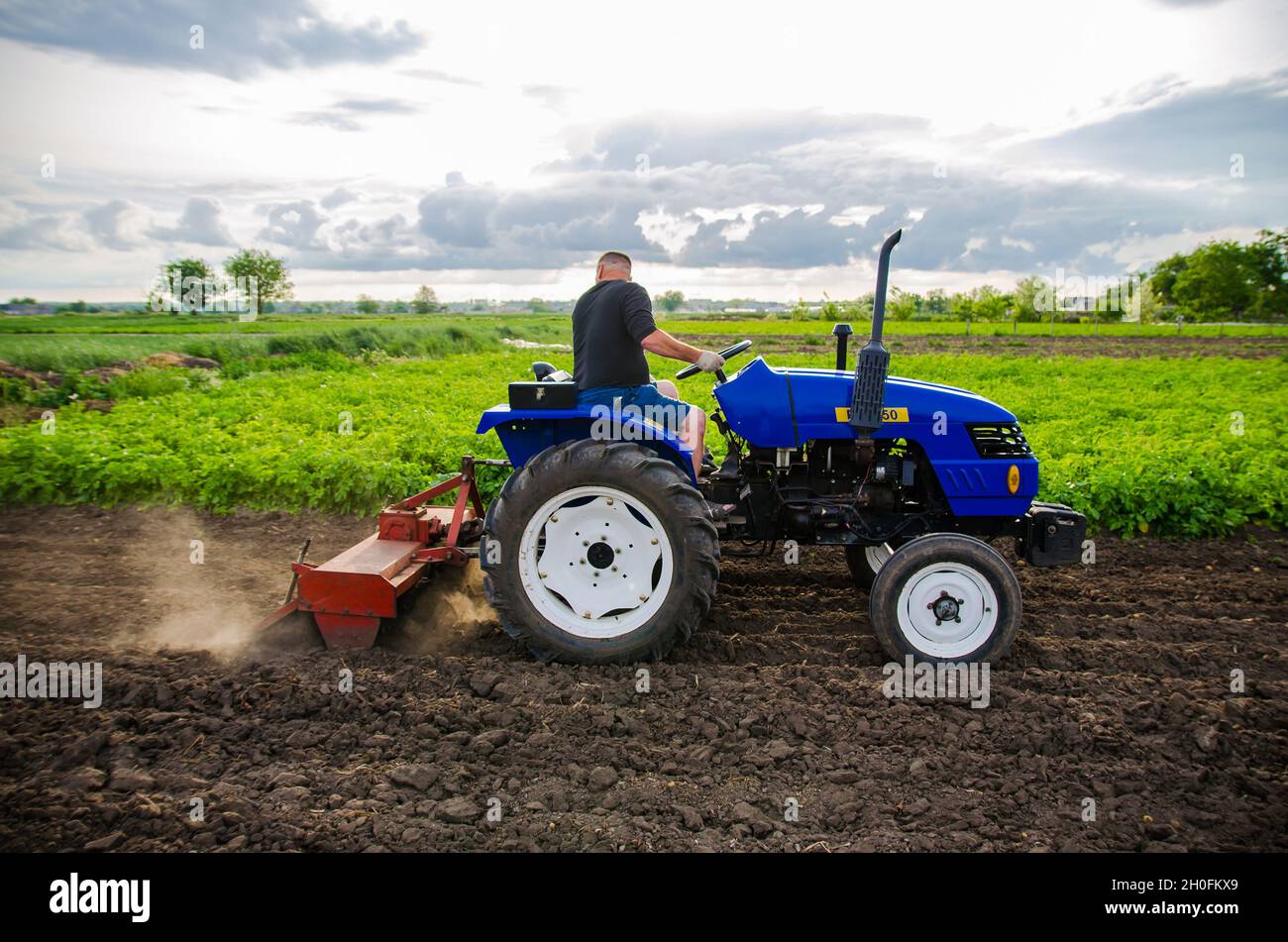 Kherson oblast, Ucraina - 29 maggio 2021: L'agricoltore su un trattore pulisce il campo dopo la mietitura. Gestione di una piccola azienda agroalimentare. Lavoro agricolo. Agricoltura. Loosenin Foto Stock