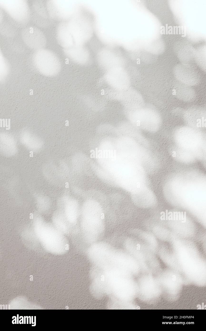Lascia il bokeh naturale ombra sovrapposto su sfondo bianco texture, per la presentazione del prodotto, sfondo e mockup, concetto stagionale estate, stile minimal trend. Foto Stock