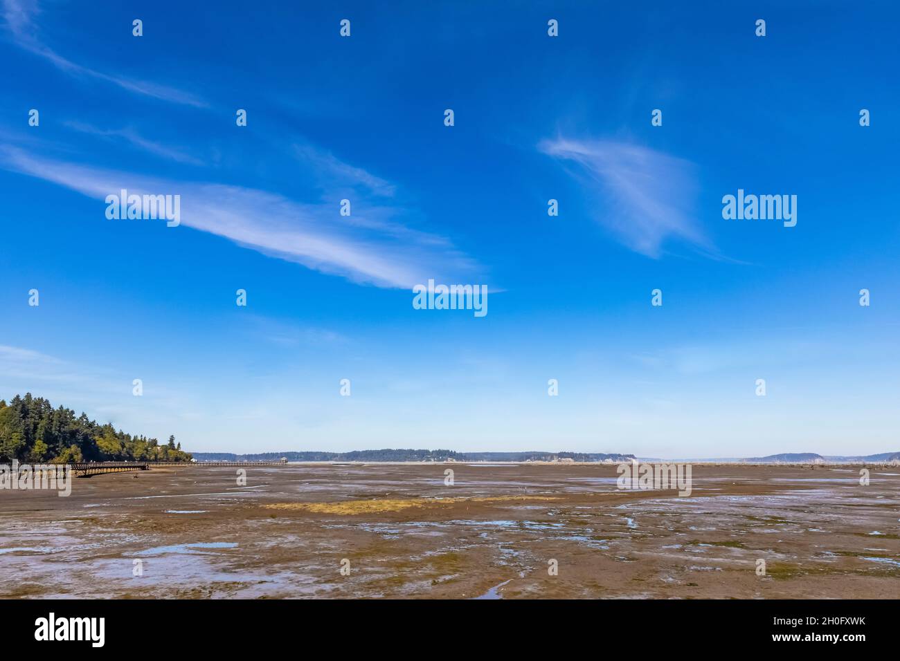 La bassa marea espone piante e mudflats e canali di marea al Billy Frank Jr. Nisqually National Wildlife Refuge, Washington state, USA Foto Stock