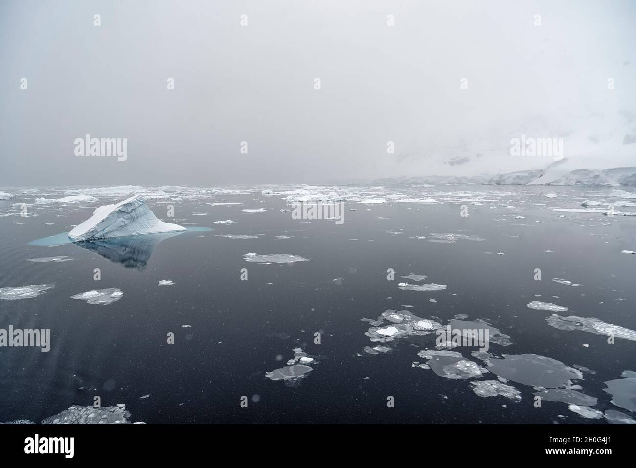 Deriva ghiaccio e piccolo iceberg durante la nevicata. Oceano Meridionale, Antartide Foto Stock