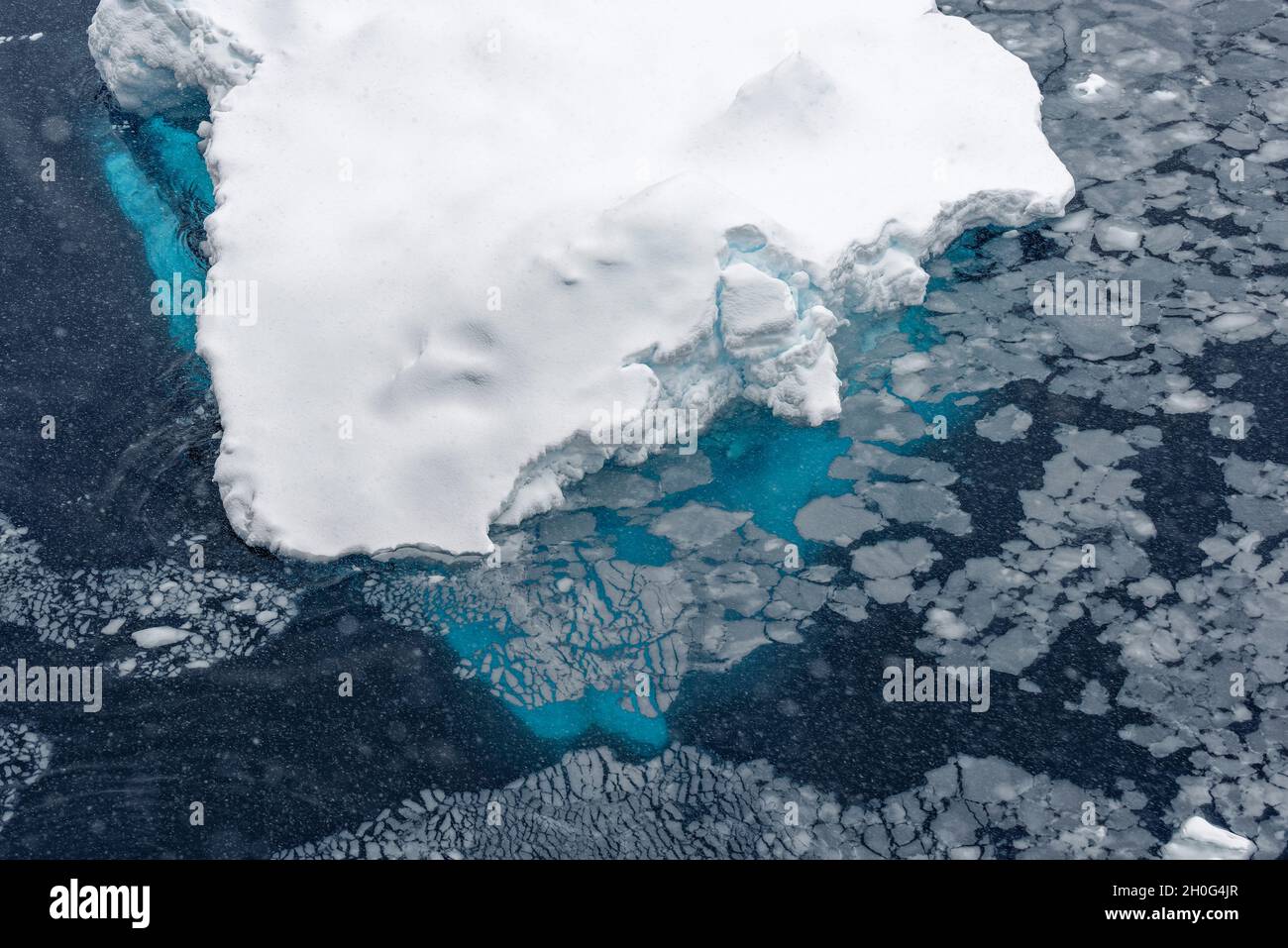 Ghiaccio di deriva e dettaglio di un iceberg durante la nevicata. Oceano Meridionale, Antartide Foto Stock