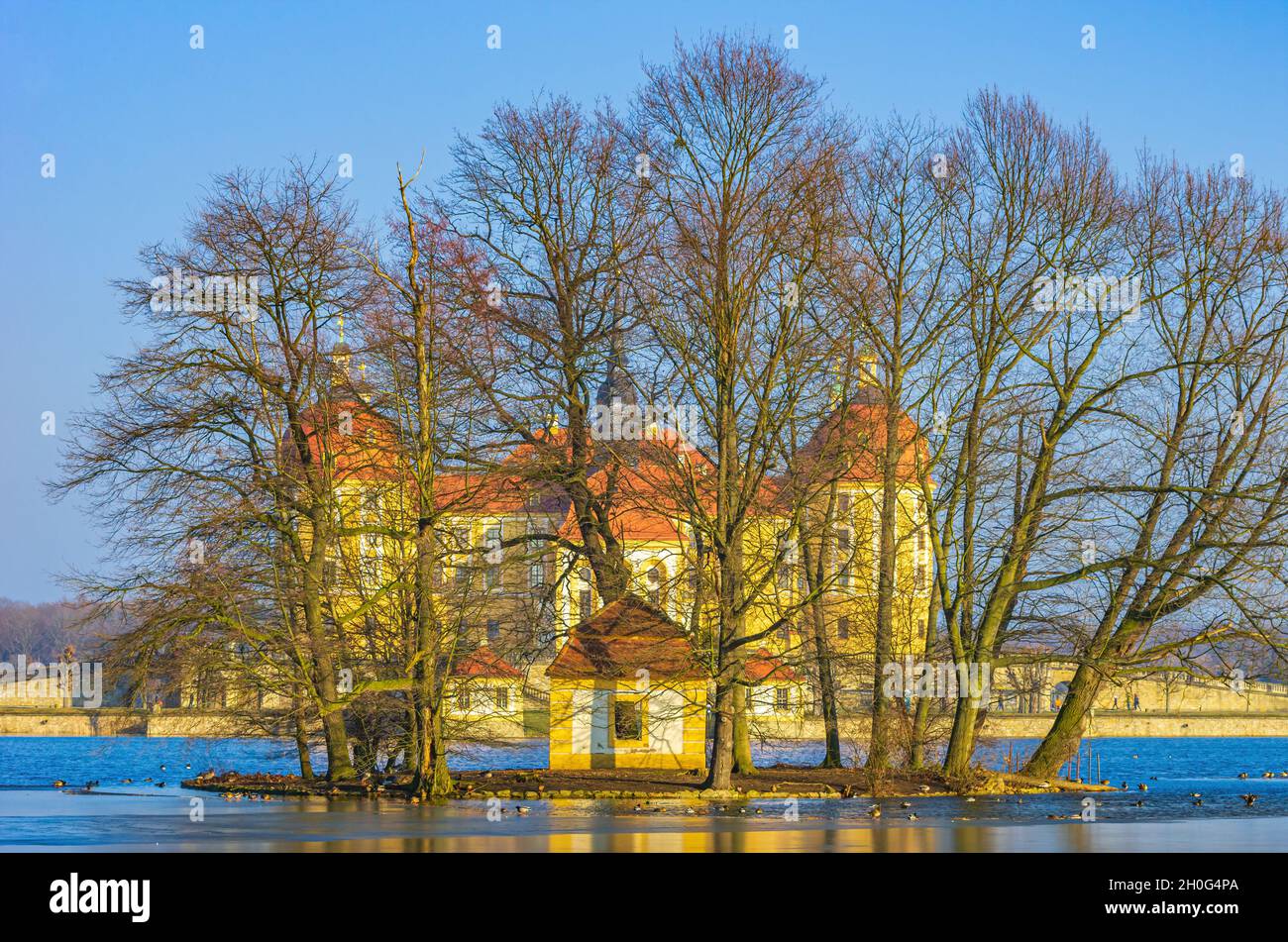 Moritzburg vicino a Dresda, Sassonia, Germania: Viteria Palazzo Moritzburg dietro il gruppo di alberi di un isolotto d'anatra situato nel laghetto del palazzo semi-congelato. Foto Stock