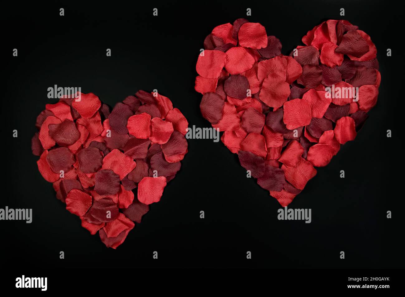 Petali rossi modellati in due cuori su uno sfondo nero semplice che significa amore e Unione Foto Stock