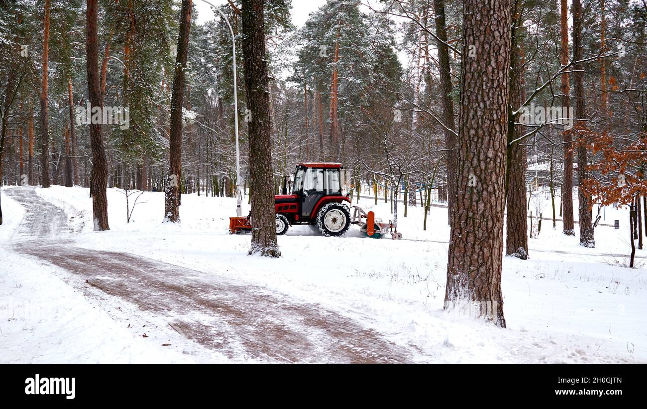 Il trattore pulisce i cingoli dalla neve in un parco invernale Foto Stock