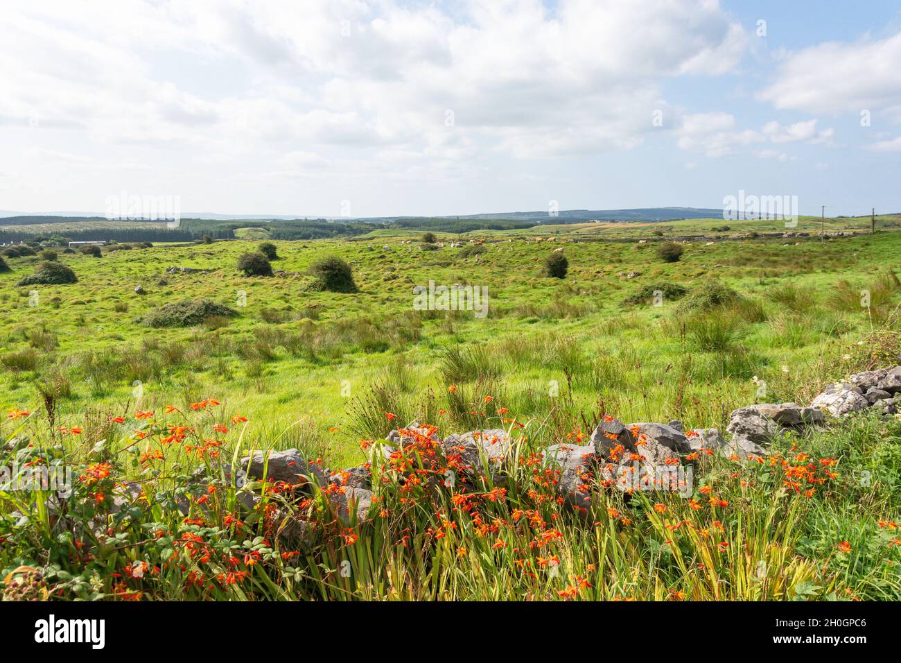 Campagna aspra vicino alle scogliere di Moher, County Clare, Repubblica d'Irlanda Foto Stock