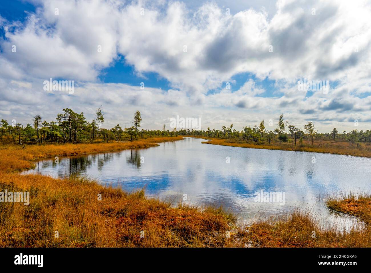 Lago con riflessi del cielo blu nel Parco Nazionale di Kemeri, Jurmala Lettonia. Sul sentiero tra palude, paludi, erba, laghi, foresta. Foto Stock