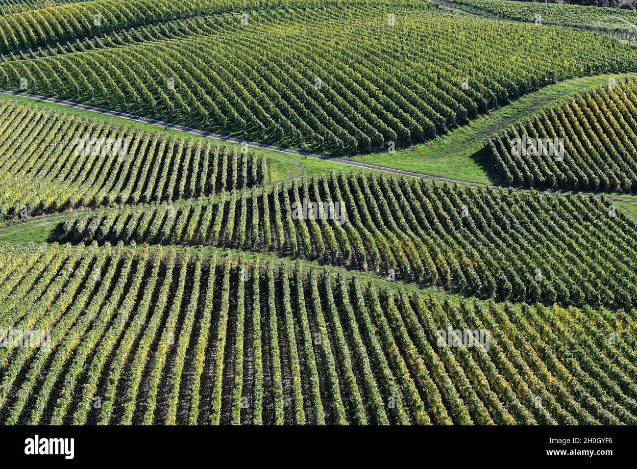 Blue Mountain Vineyards, Okanagan Valley, British Columbia, Canada Foto Stock
