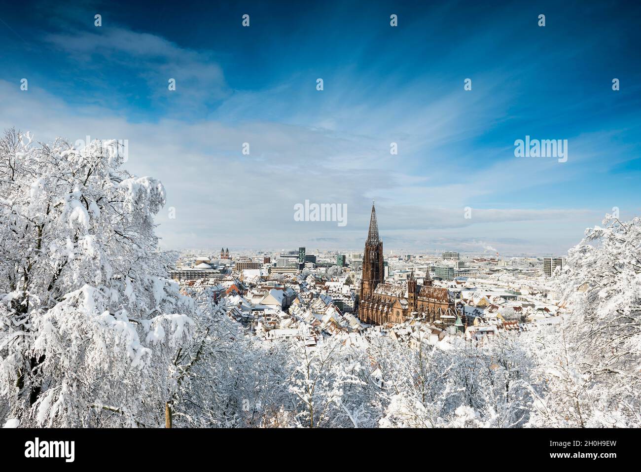 Atmosfera invernale con neve, Cattedrale di Friburgo, Friburgo in Breisgau, Foresta Nera, Baden-Wuerttemberg, Germania Foto Stock