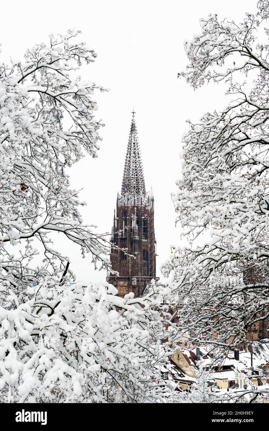Atmosfera invernale con neve, Cattedrale di Friburgo, Friburgo in Breisgau, Foresta Nera, Baden-Wuerttemberg, Germania Foto Stock
