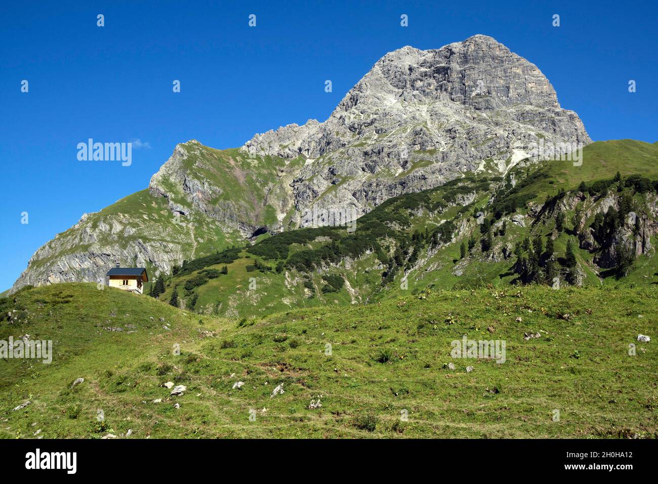 Widderstein, nei pressi di Baad, Kleinwalsertal, Allgaeu, Vorarlberg, Austria Foto Stock