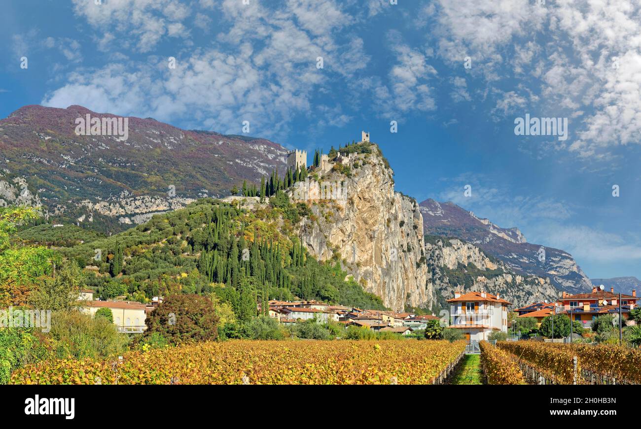 Vigneto con le rovine medievali del castello Castello di Arco che svettano su una roccia del castello, Arco, Valle di Sarco, Lago di Garda Nord, Trento, Trentino-Alto Foto Stock