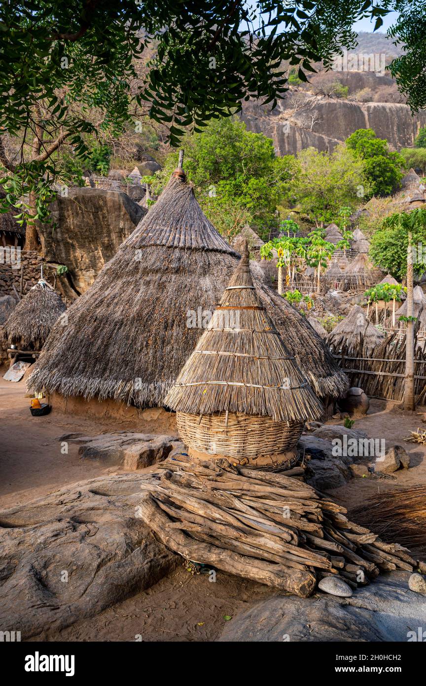 Costruire capanne tradizionali della tribù Otuho o Lutoko in un villaggio sulle montagne Imatong, Eastern Equatoria, Sud Sudan Foto Stock Costruire capanne tradizionali della tribù Otuho o Lutoko in un villaggio sulle montagne Imatong, Eastern Equatoria, Sud Sudan Foto Stock