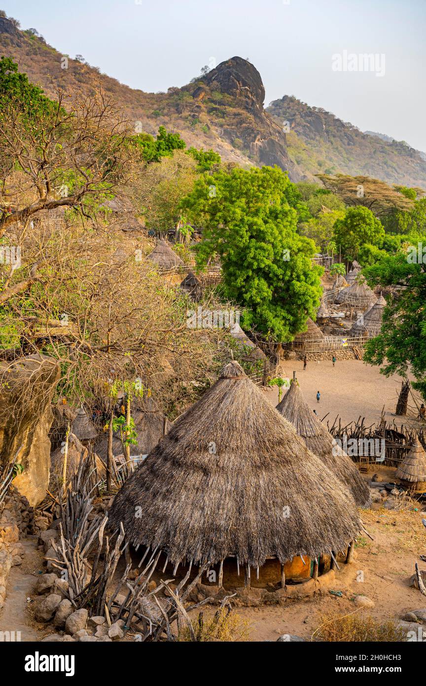 Costruire capanne tradizionali della tribù Otuho o Lutoko in un villaggio sulle montagne Imatong, Eastern Equatoria, Sud Sudan Foto Stock Costruire capanne tradizionali della tribù Otuho o Lutoko in un villaggio sulle montagne Imatong, Eastern Equatoria, Sud Sudan Foto Stock