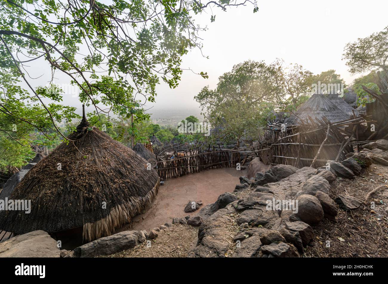 Costruire capanne tradizionali della tribù Otuho o Lutoko in un villaggio sulle montagne Imatong, Eastern Equatoria, Sud Sudan Foto Stock