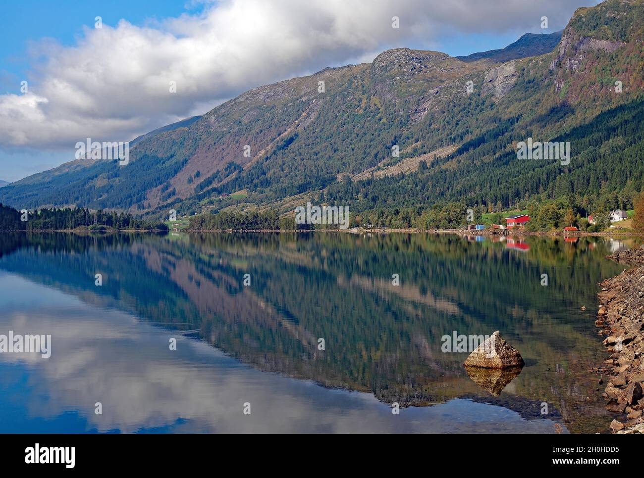 Foresta e case riflesse in un lago, idillio, gallartal, Scandinavia, norvegia Foto Stock