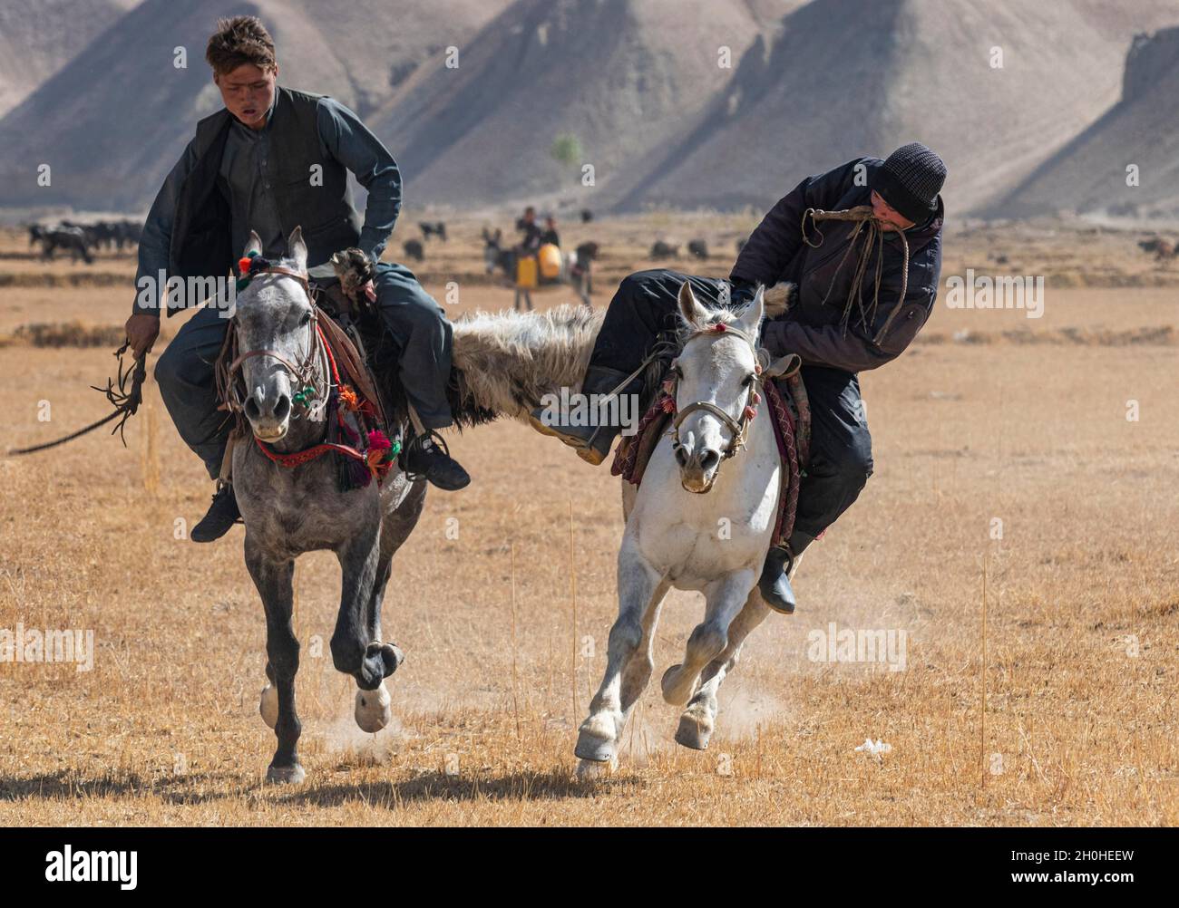 Uomini che praticano un tradizionale gioco di Buzkashi, Yaklawang, Afghanistan Foto Stock