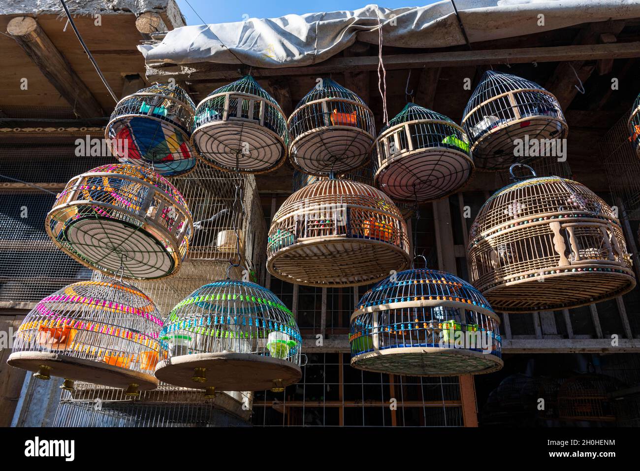 Bird in vendita, Bird Street, Kabul, Afghanistan Foto Stock