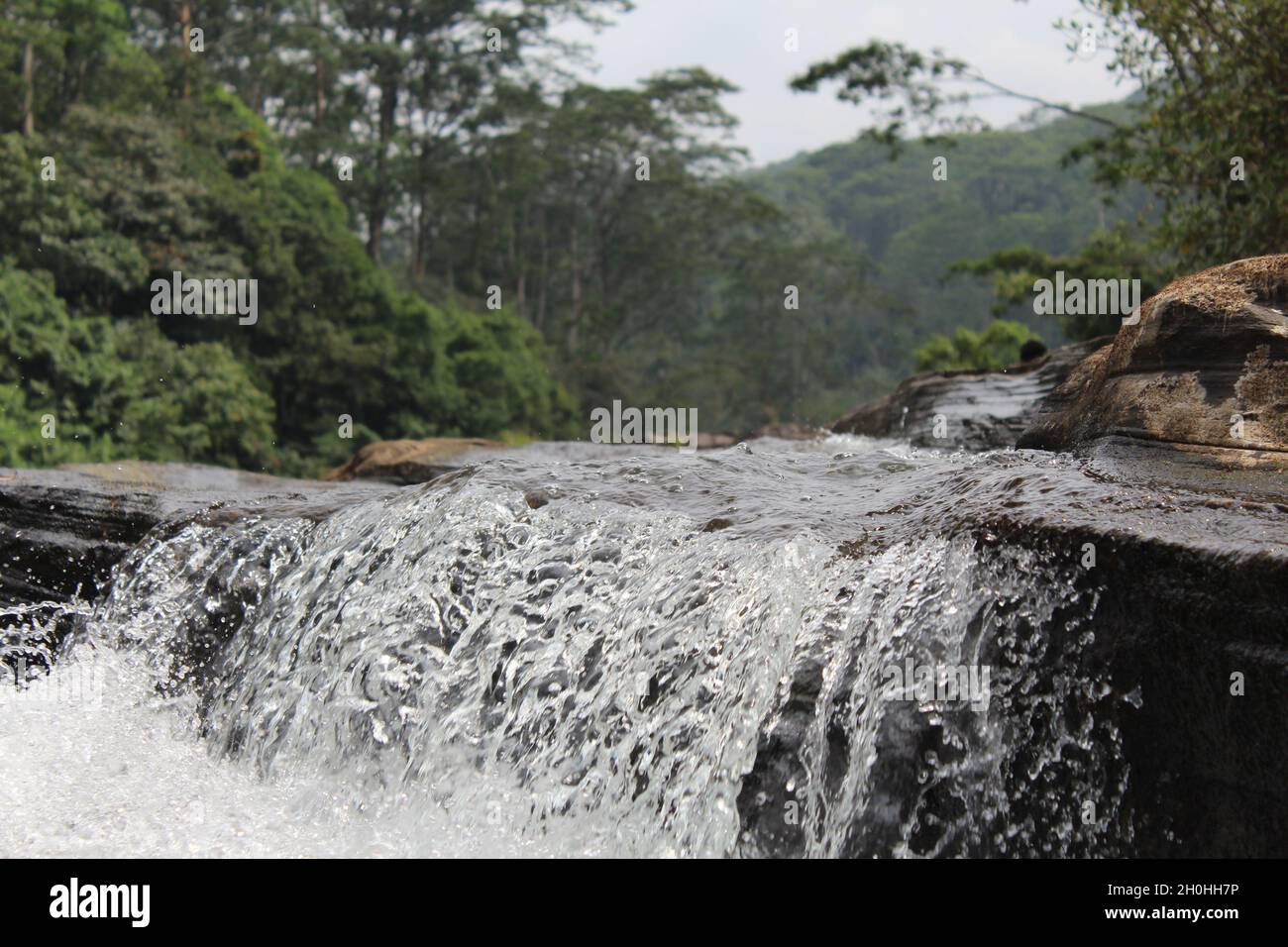 Madre della natura crea tutto per noi Foto Stock