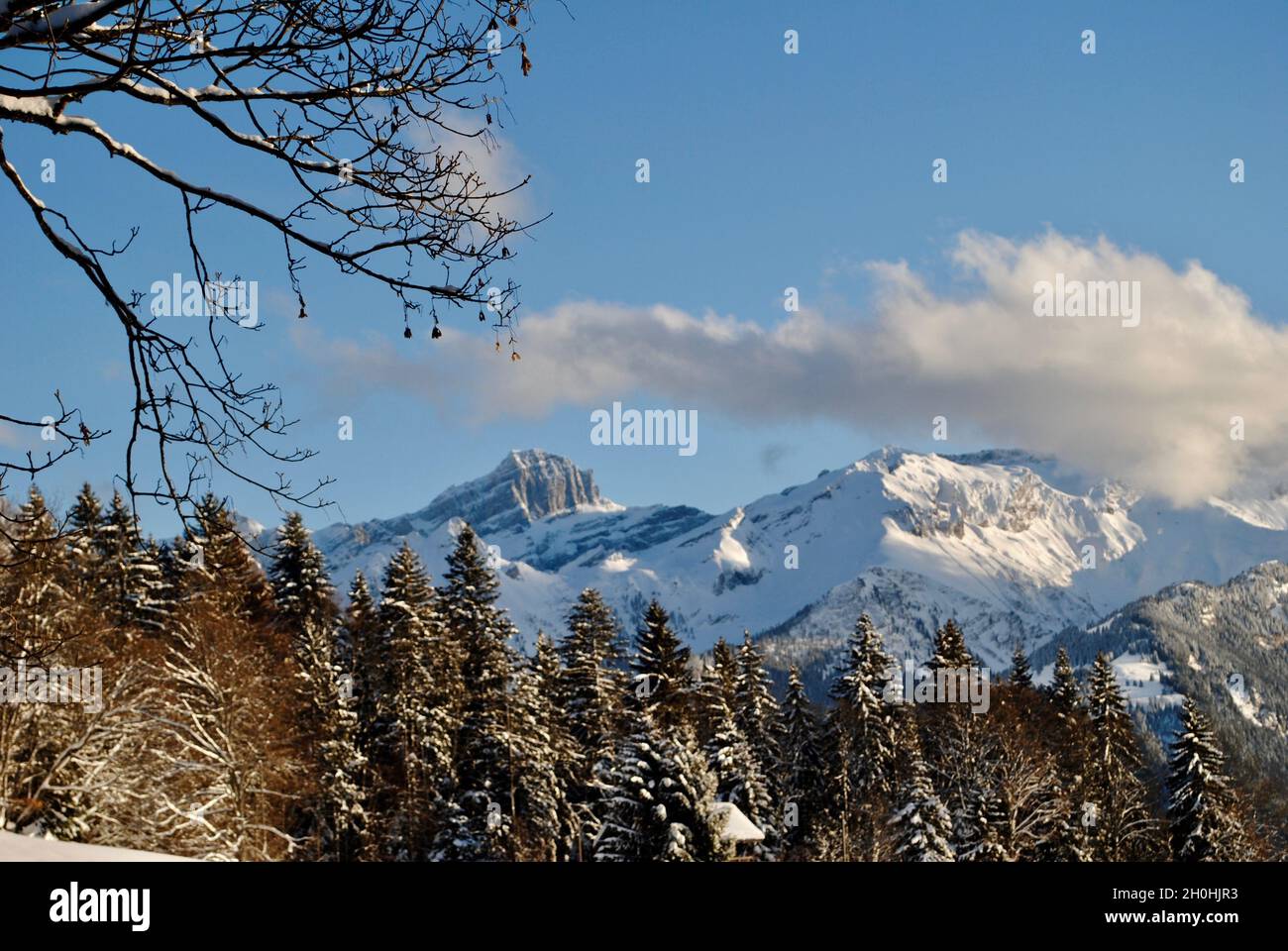 Inverno a Villars-sur-Ollon in Svizzera Foto Stock