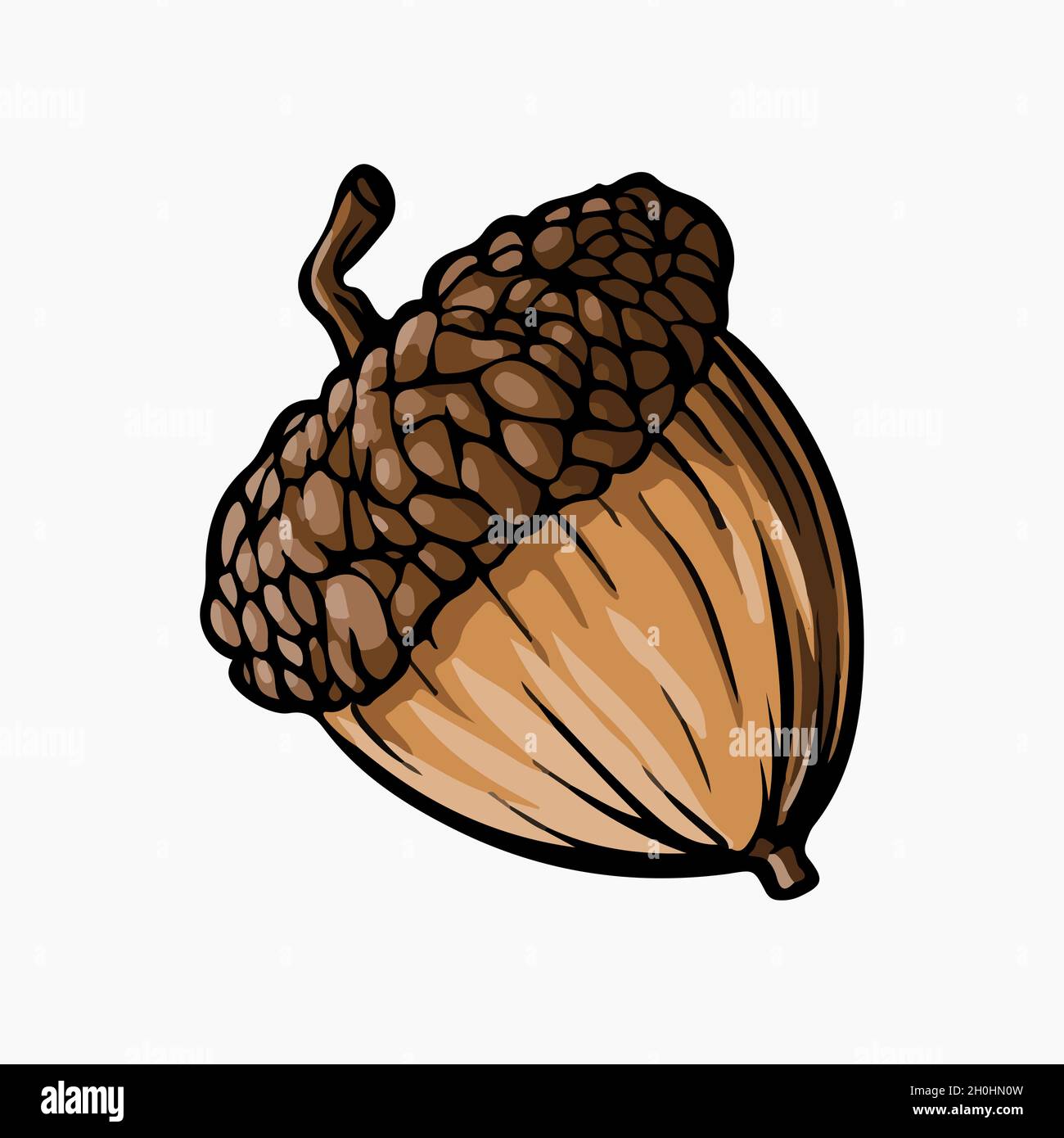 Acorn Vector Illustration Cartoon Clipart Illustrazione Vettoriale