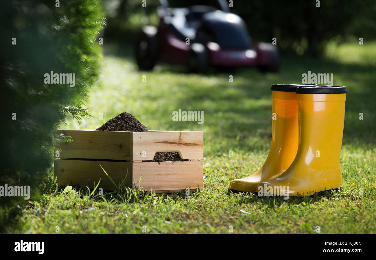 Gabbia con suolo e stivali di gomma su erba in cortile. Attrezzatura da giardinaggio per manutenzione Foto Stock