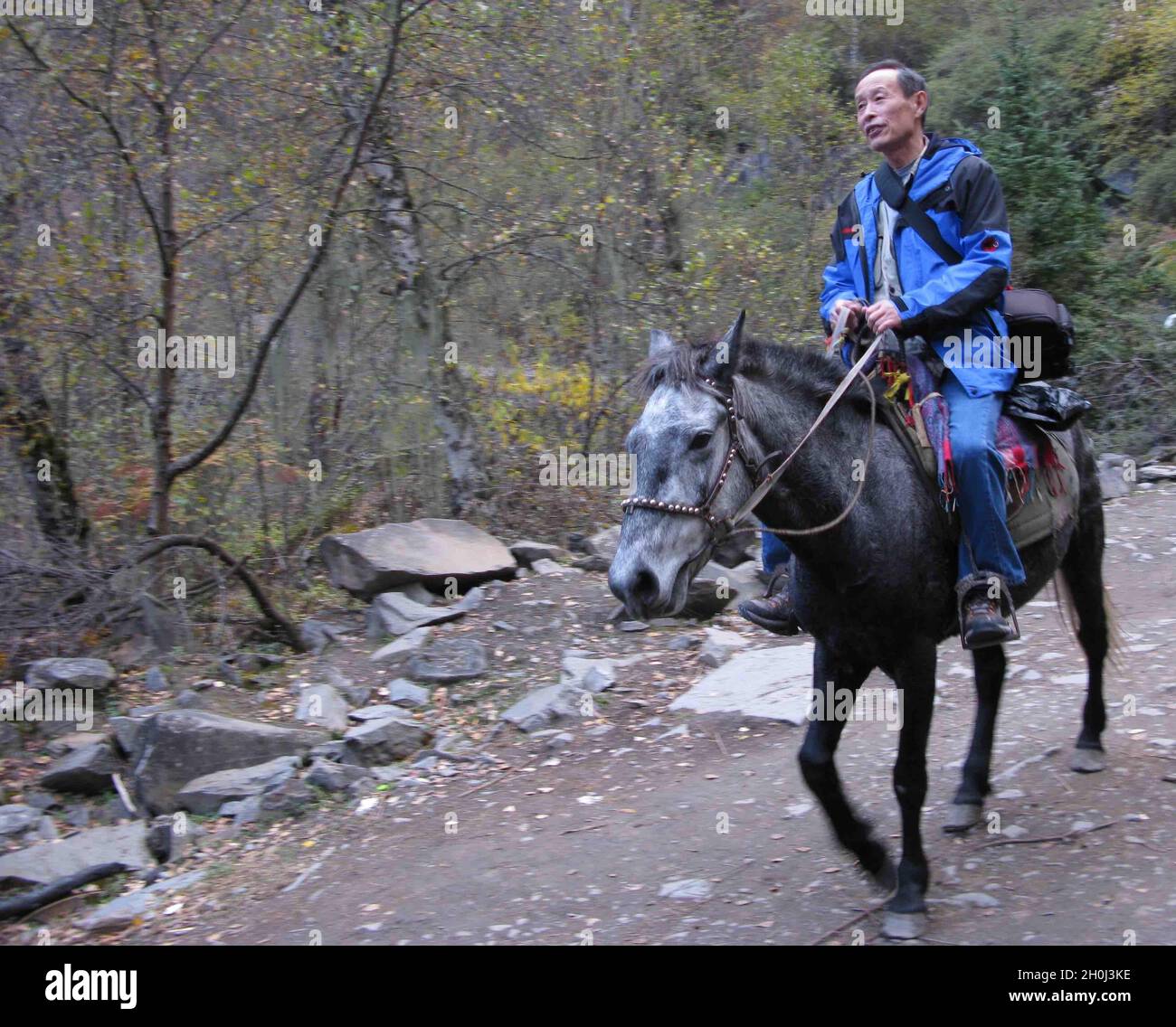 (211013) -- CHENGDU, 13 ottobre 2021 (Xinhua) -- Foto di archivio scattata il 27 ottobre 2014 mostra Yin Kaipu che guida un cavallo durante una ricerca scientifica nella contea di Maoxian, provincia sudoccidentale della Cina di Sichuan. Yin, un ecologo famoso di 78 anni in Cina, si dedica alla protezione della biodiversità da oltre sei decenni. Dopo essersi laureato a scuola nel 1960, Yin ha lavorato presso il Chengdu Institute of Biology dell'Accademia Cinese delle Scienze (CAS), occupandosi principalmente di indagini e conservazione delle risorse biologiche. Nel 1978, Yin propose di stabilire la natura di Jiuzhaigou e Yading Foto Stock