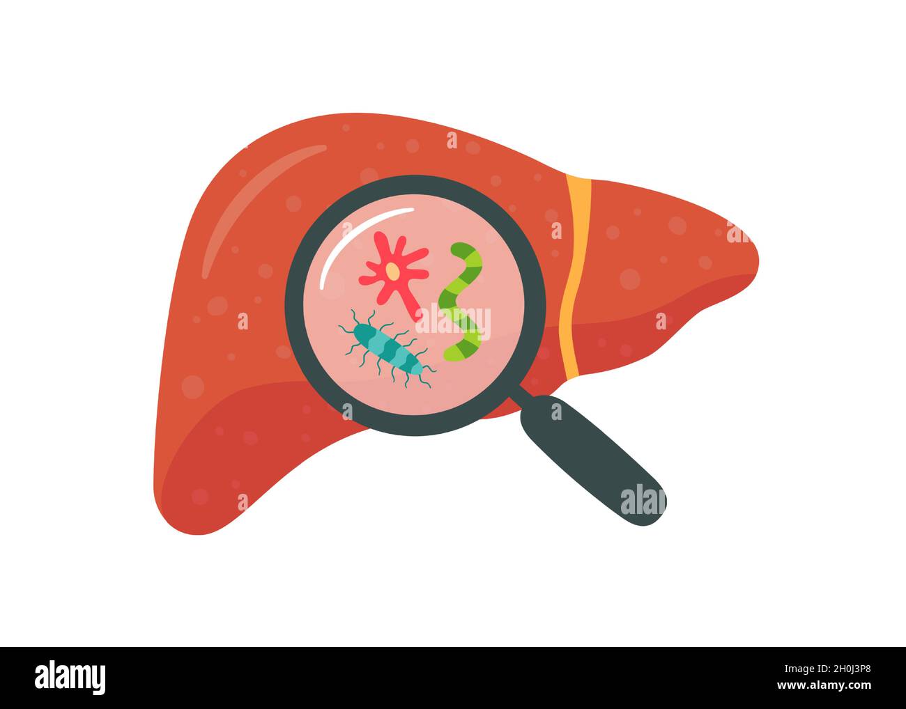 Fegato e lente di ingrandimento con vermin. Malattia del fegato. Illustrazione vettoriale isolata in stile piatto su sfondo bianco Illustrazione Vettoriale