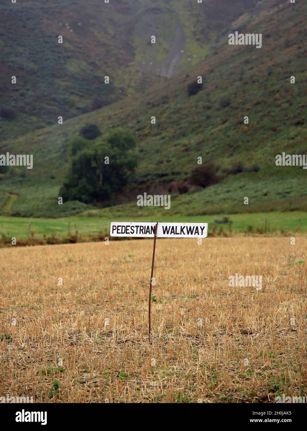 Un cartello pedonale nella campagna gallese. Foto Stock
