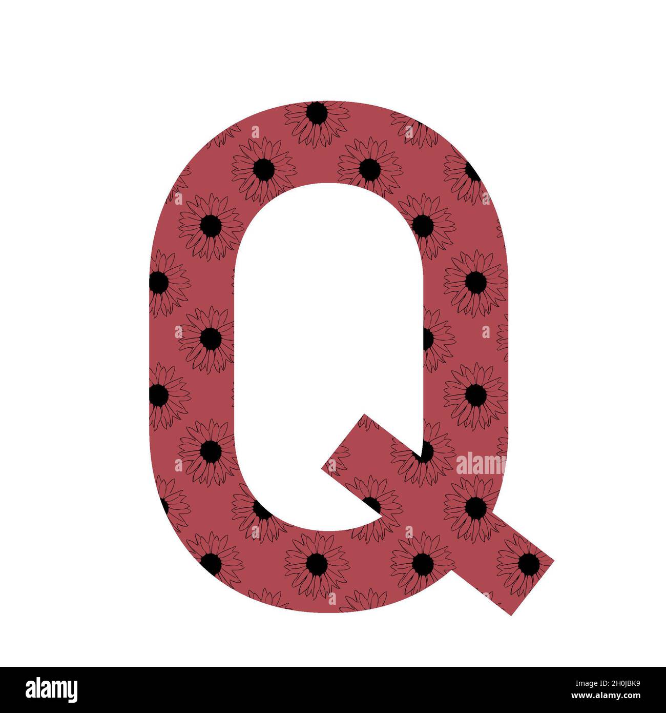 Lettera Q dell'alfabeto realizzata con un motivo di girasoli con sfondo rosa scuro, isolato su sfondo bianco Foto Stock