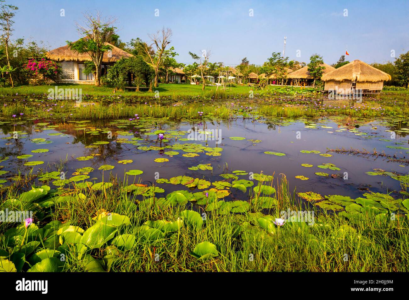 A Hoi An villasa punteggiano la campagna per le risaie. Foto Stock