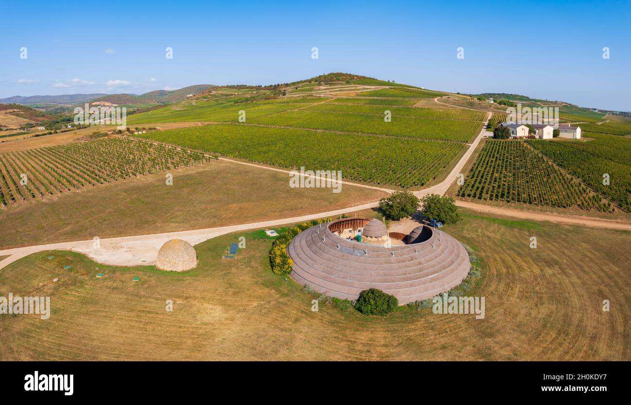 Vista panoramica sui bellissimi vigneti e sulla famosa cantina nella regione vinicola di Tokaj, paesaggio culturale storico, parte del patrimonio mondiale dell'UNESCO Foto Stock