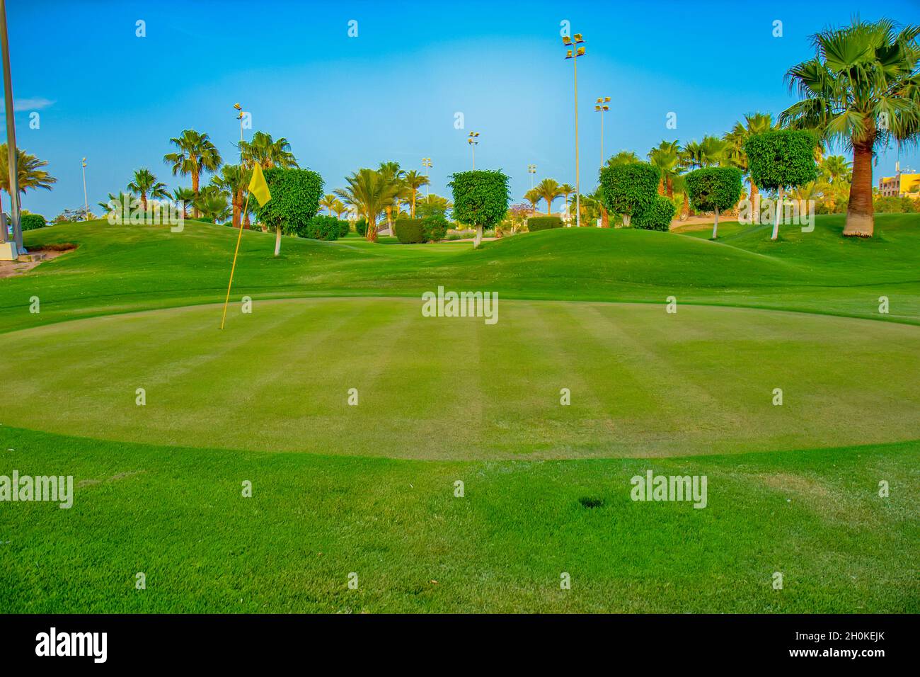 Campo da golf e palme Foto Stock