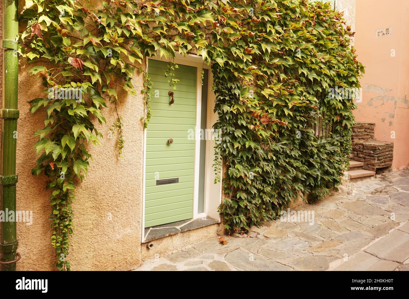Casa fronte con porta esterna di colore verde circondata da impianto di arrampicata in villaggio in Francia Foto Stock