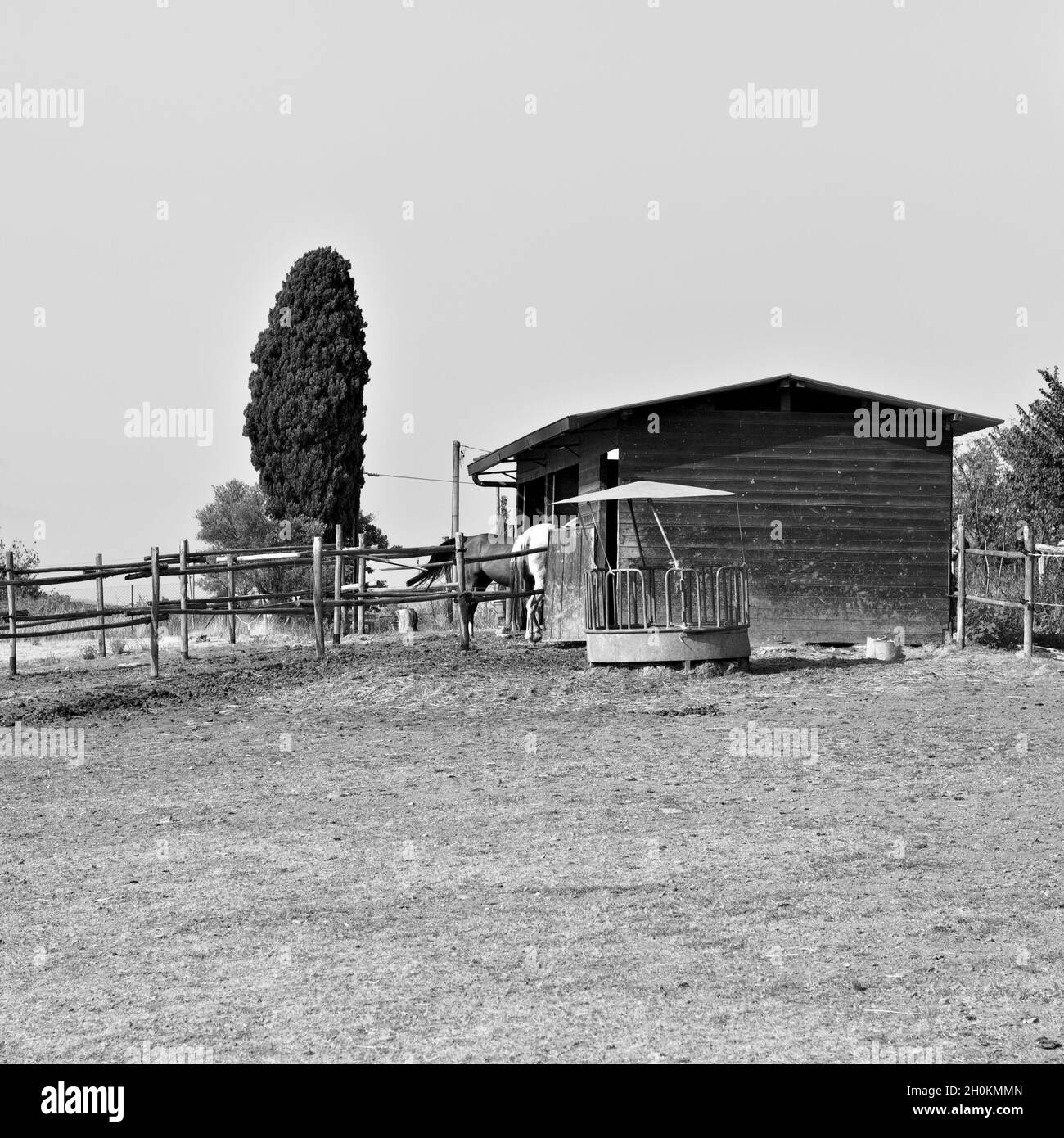 Una stalla con due cavalli e un prato con recinzione in campagna (Toscana, Italia, Europa) Foto Stock
