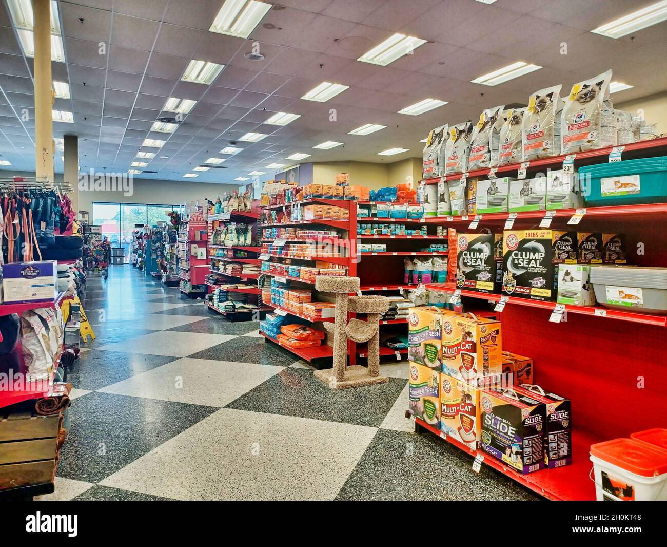 Houston, Texas USA 09-10-2021: All'interno di un negozio di animali domestici Petco con corridoio centrale che mostra merci su scaffali e scaffali e nessuna gente. Foto Stock