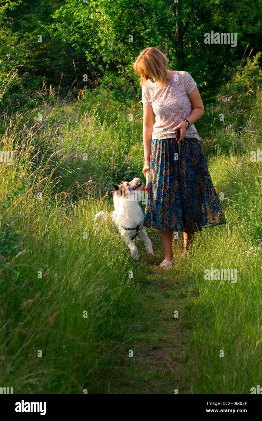donna e cane su una passeggiata nella natura Foto Stock