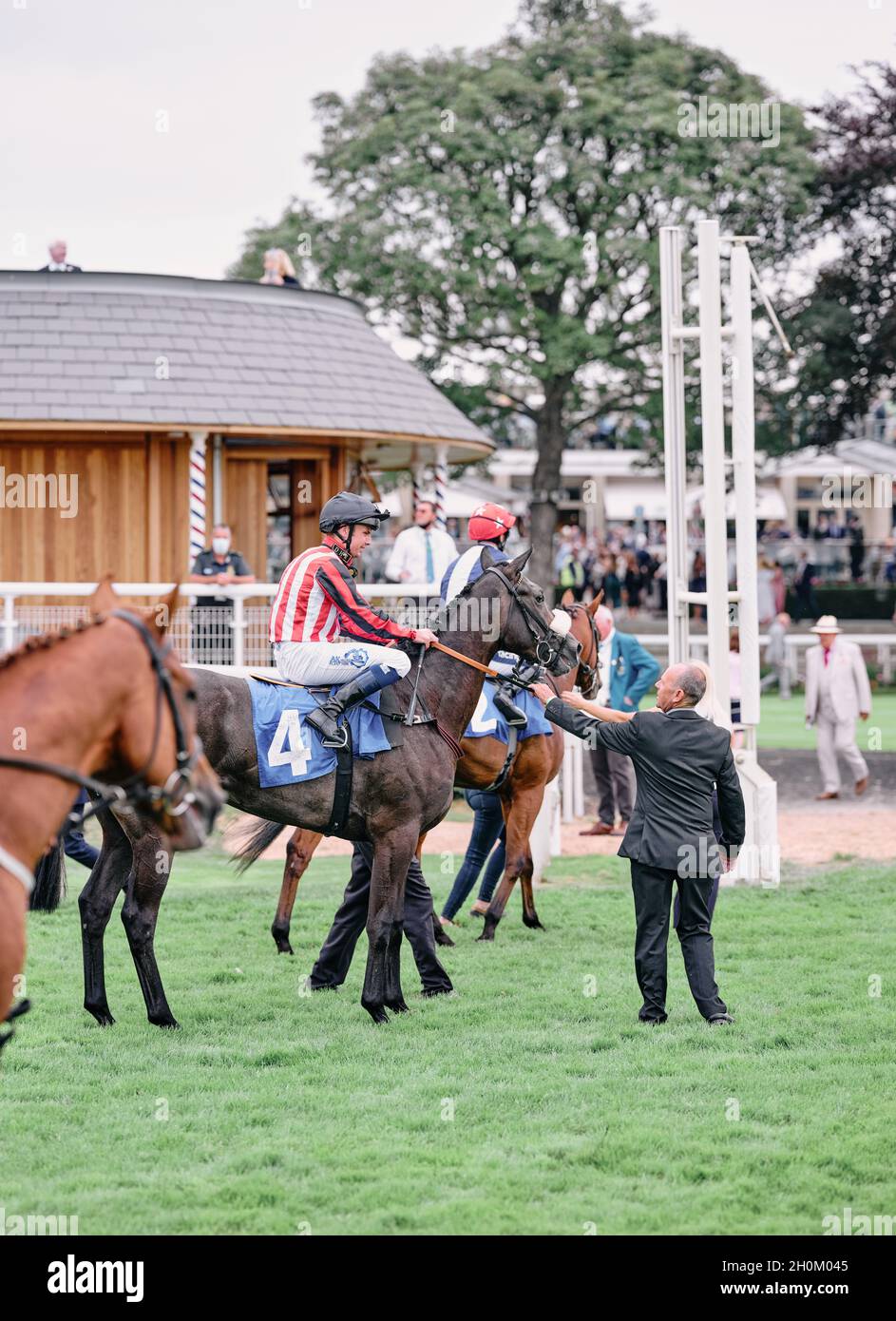 Grooms e jockey con i loro cavalli da corsa subito dopo una corsa in un evento di fine settimana estivo all'ippodromo di York York, Yorkshire, Inghilterra UK 2021 Foto Stock Grooms e jockey con i loro cavalli da corsa subito dopo una corsa in un evento di fine settimana estivo all'ippodromo di York York, Yorkshire, Inghilterra UK 2021 Foto Stock