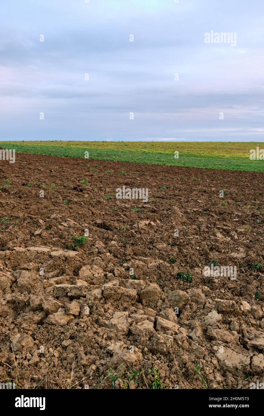 Paesaggio astratto girato con un campo agricolo appena arato contro cielo coperto in autunno. Visto in Germania nel mese di ottobre. Foto Stock