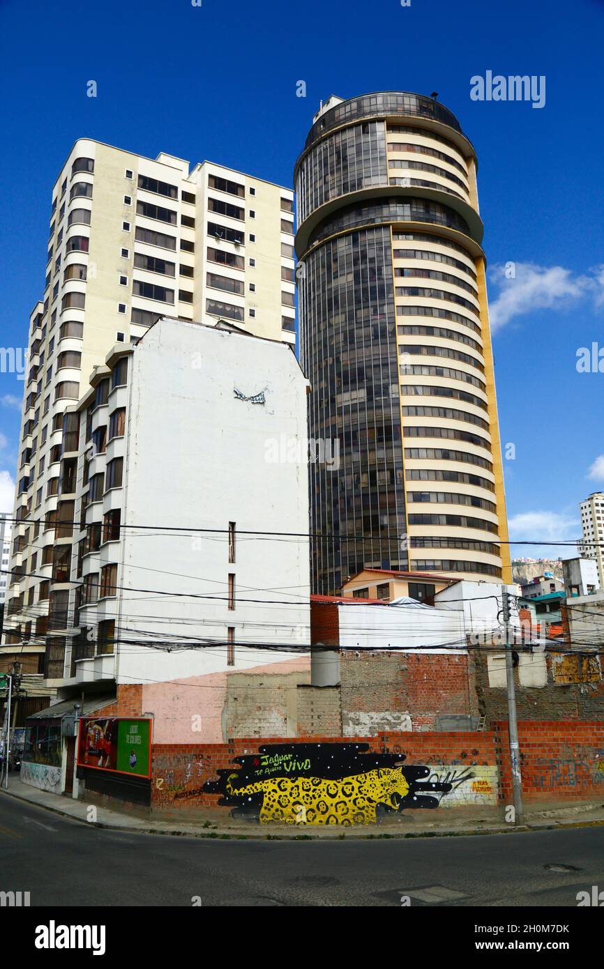 Murale di un giaguaro sul muro di mattoni, per protestare contro il traffico di animali selvatici e la distruzione delle foreste tropicali della bassa Bolivia per la maggior parte l'agricoltura. L'uccisione di giaguari da parte di allevatori di bestiame e bracconieri (che spesso vendono i denti, le pelli e altre parti in particolare ai trafficanti di fauna selvatica cinesi) è aumentata notevolmente e negli ultimi anni diventa un tema emotivo in Bolivia. Sopocachi, la Paz, Bolivia Foto Stock