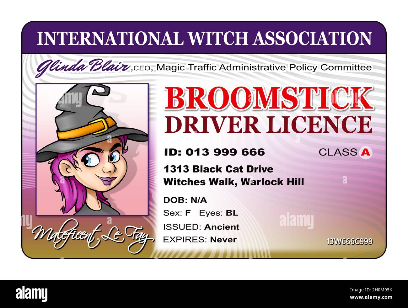Patente di guida per le streghe, patente di guida di un bastone Foto Stock
