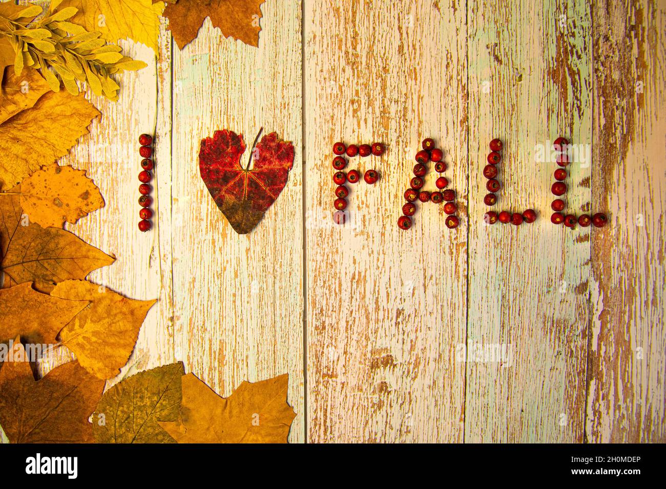 L'iscrizione i love fall' su un tavolo di legno blu decorato con foglie di giallo autunno Foto Stock