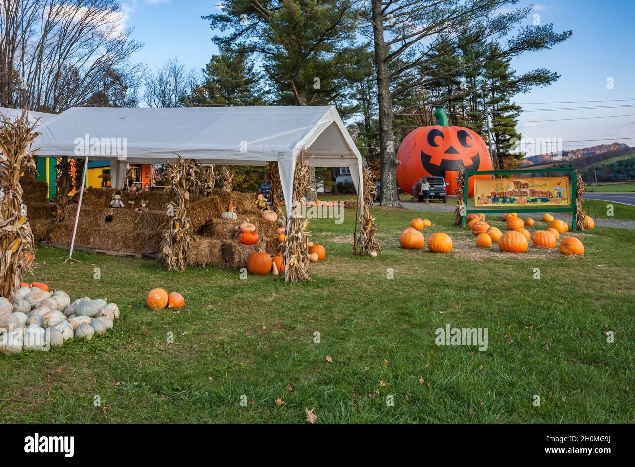 Gigantesca zucca gonfiabile di Halloween al mercato stradale di Pumpkin Patch nel North Carolina Foto Stock Gigantesca zucca gonfiabile di Halloween al mercato stradale di Pumpkin Patch nel North Carolina Foto Stock