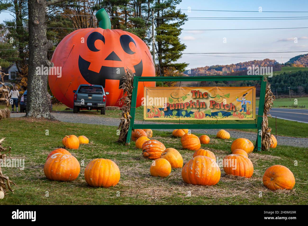 Gigantesca zucca gonfiabile di Halloween al mercato stradale di Pumpkin Patch nel North Carolina Foto Stock