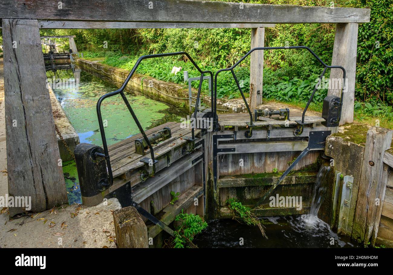 Flatford blocco sul fiume Stour vicino Flatford Mill, riempito di acqua stagnante con anatra e foglie. Suffolk, Inghilterra. Foto Stock