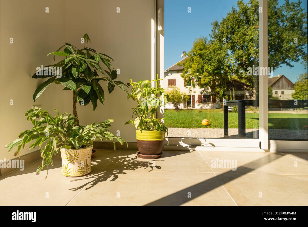 Pentole di piante interne con vista giardino all'aperto attraverso la finestra in giorno di sole Foto Stock
